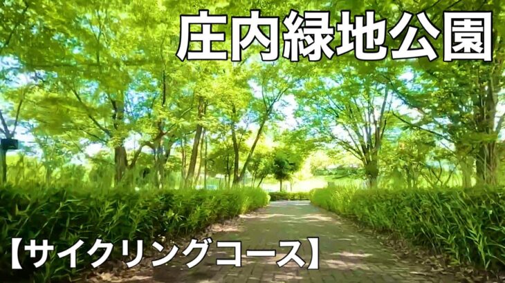 庄内緑地公園へサイクリング【サイクリングコース】