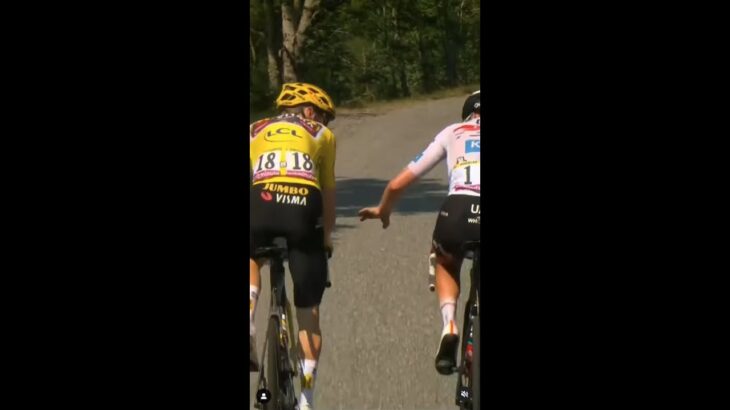 An incredible act of sportsmanship at the Tour de France ❤ #Shorts #TDF2022