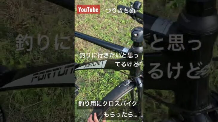 #shorts 釣り用にクロスバイクもらったんだけど…