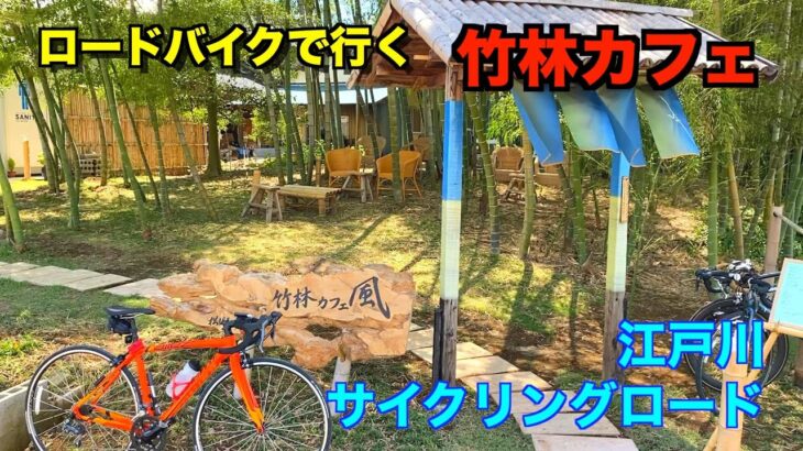 江戸川サイクリングロード　竹林カフェ 風　養蜂見学も！