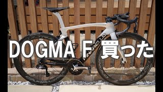 【ロードバイク紹介】DOGMA F納車されたので紹介するよ！