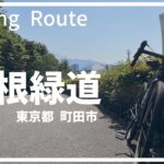 【ロードバイク】早朝の尾根緑道をサイクリング！(ルート紹介)