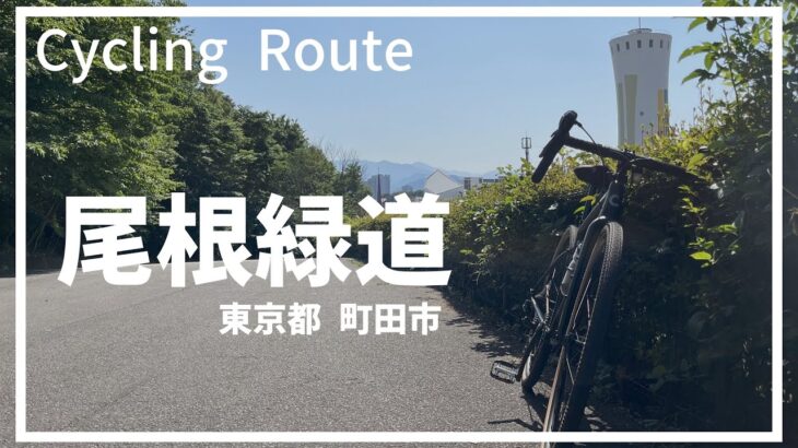【ロードバイク】早朝の尾根緑道をサイクリング！(ルート紹介)