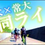 静岡大学サイクリング部と合同ライドに行ったら楽しすぎた