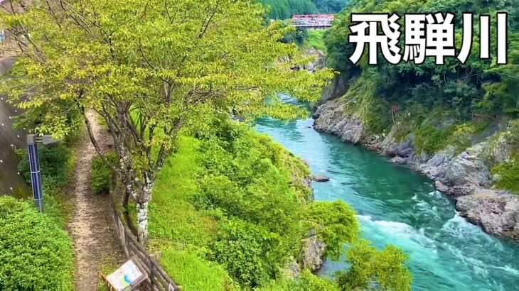 岐阜県（白川園本舗七宗御殿）へサイクリング