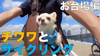 チワワとサイクリング〜お台場編 （Cycling with Chihuahua ）