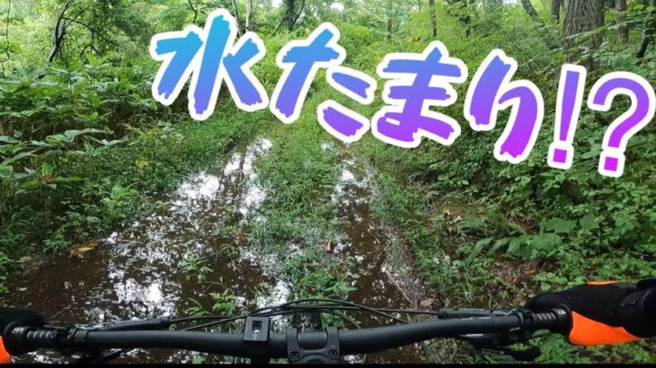 【MTB】CANYON STOIC に乗って雨上がりのトレイルを走ってきました ダウンヒル　マウンテンバイク