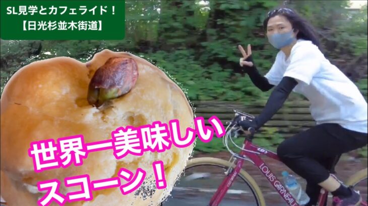 日光杉並木街道をサイクリング！迫力のSL！と口コミ「世界一美味しいスコーン…」は本当に美味しかった！ガノーガルバルディーG2とルイガノ！