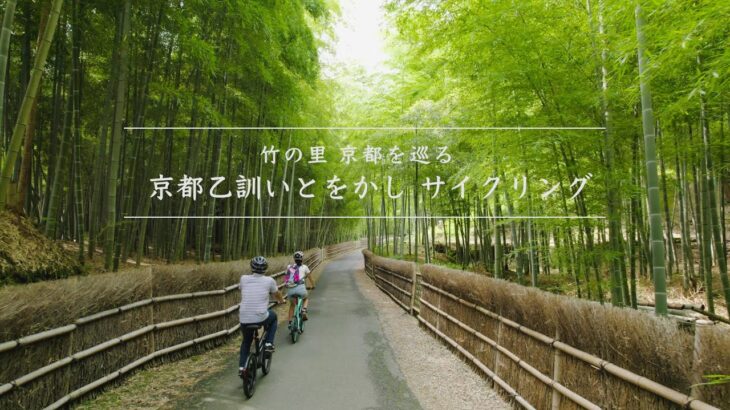 竹の里京都を巡る　京都乙訓いとをかしサイクリング