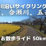 【ロードバイク】新川、合瀬川、五条川沿いを超のんびりサイクリング50km。