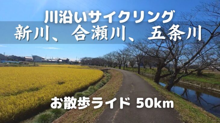 【ロードバイク】新川、合瀬川、五条川沿いを超のんびりサイクリング50km。