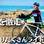 【絶景ロードバイク輪行】大洗〜鹿島灘〜鹿島神宮の観光地を巡って70kmを激走ポタリング
