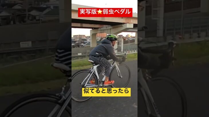 弱虫ペダル【小野田坂道】実写版。ロードバイクでのトレーニング風景