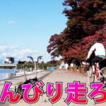秋のびわ湖サイクリング 京都発の南湖50kmでビワイチしたってことにしよう