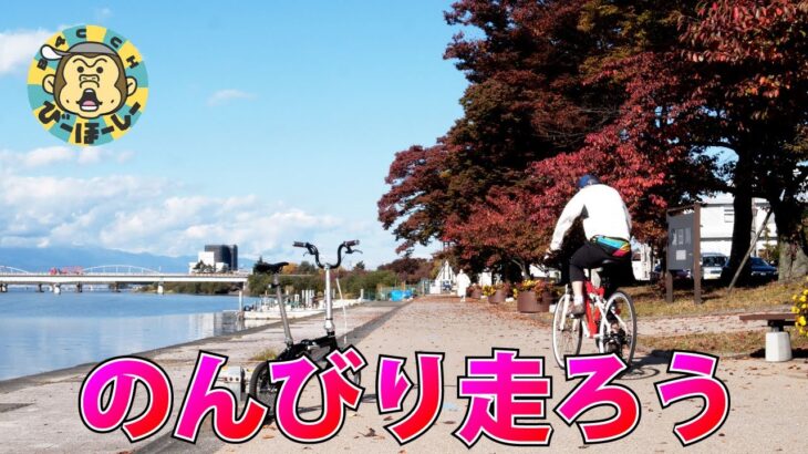 秋のびわ湖サイクリング 京都発の南湖50kmでビワイチしたってことにしよう
