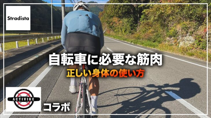 自転車に必要な筋肉【ACTIVIKEコラボ】