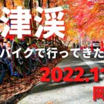 サイクリングDEハイキング⑨岡山県 奥津渓 2022.11.06 CYCLING & hiking Autumn leaves viewing in Okayama