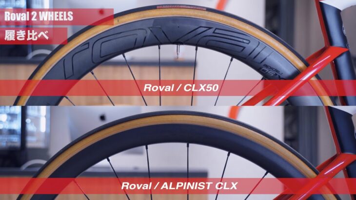 【川チュンのホイール履き比べ】リムハイトの高さで走りも変わる？Roval CLX50 vs ALPINIST CLX【BICI AMORE × スペシャライズド CPO 】