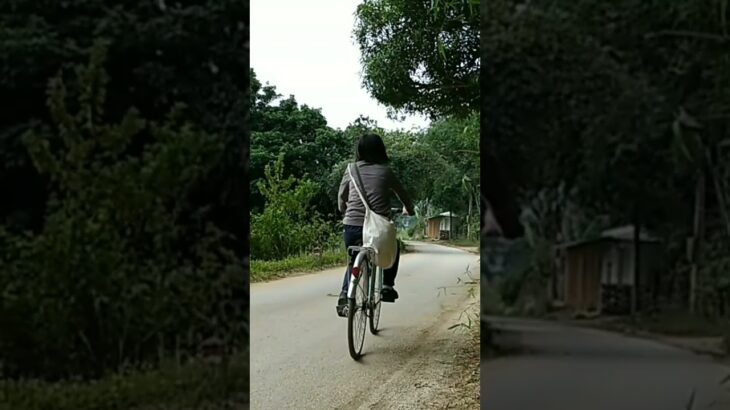 【ベトナム一人旅】マイチャウでサイクリング