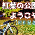 【ロードバイク】紅葉見頃の立川　昭和記念公園をサイクリングしました