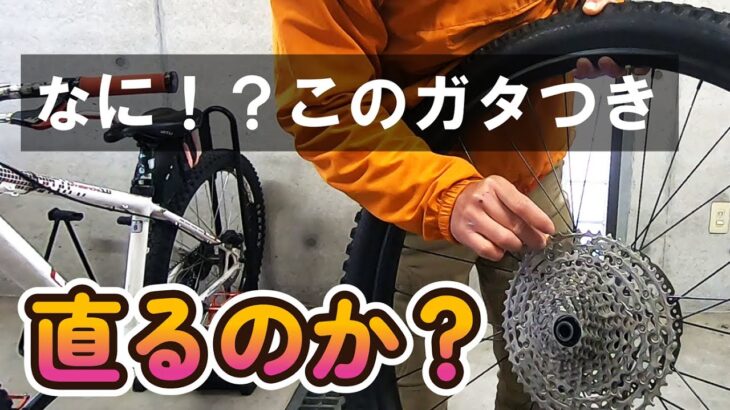 1年6ケ月酷使したマウンテンバイクがついに悲鳴！？ガタつくリヤハブまわりは直るのか【検証】