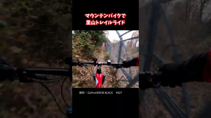 マウンテンバイクで里山トレイルライド【Trail Riding with Mountain Bike】027　#Shorts