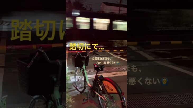 【Vlog】相鉄線が”夜に駆ける”踏切にて #サイクリング #自転車 #踏切 #yoasobi