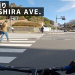 【ピストバイク車載動画】井の頭通りをサイクリング（Fixed Gear Bike Ride In Inogashira AVE.）