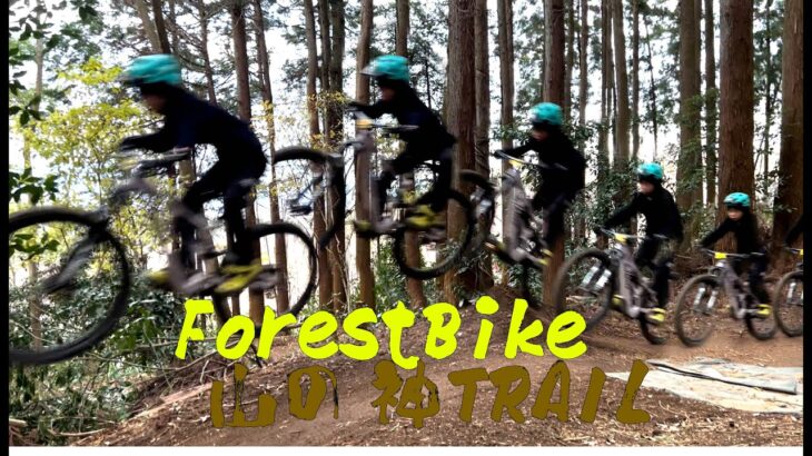 ForestBike 山の神 中学生マウンテンバイク