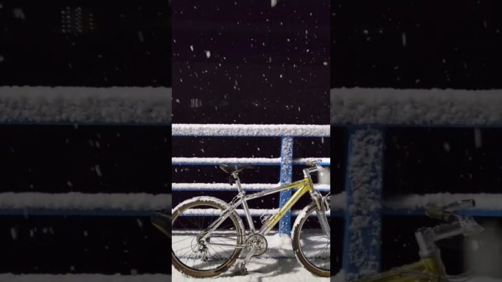 夜中に雪が振るなか自転車サイクリング🚴‍♂️#雪 #自転車 #マウンテンバイク