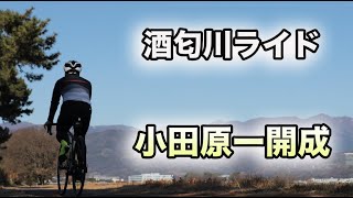【サイクリングロード】酒匂川沿いをサイクリング