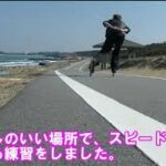 【インラインスケート】クルージング　サイクリングロードを滑走
