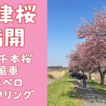 新川千本桜と印旛沼(10倍速再生) ミニベロサイクリング