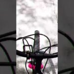 Sakura ride #badfrog #bike #ロードバイク #cycling #オールドマウンテンバイク