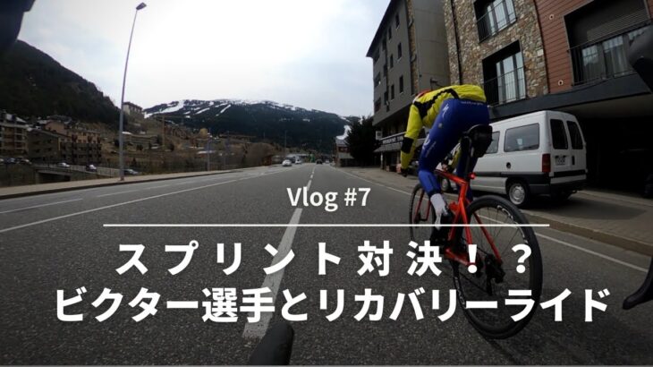 スプリント対決！？【Vlog #7】#ロードバイク #ロードレース #ロードバイクトレーニング #サイクリング #自転車レース #ヒルクライム #スプリント #trek #トレック