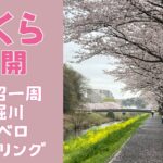 桜満開　手賀沼一周と大堀川サイクリング