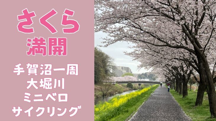 桜満開　手賀沼一周と大堀川サイクリング