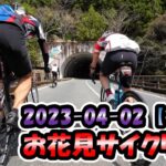 2023-04-02 お花見サイクリング【ロードバイク/イチヤ】