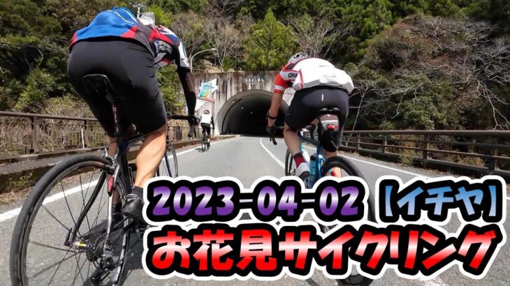 2023-04-02 お花見サイクリング【ロードバイク/イチヤ】