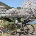 MARIN NICASIO SE で桜満開！絶景お花見サイクリング♪