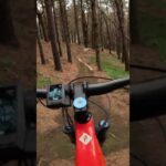 Zeds Dead: Jump trail in private MTB park in NZ