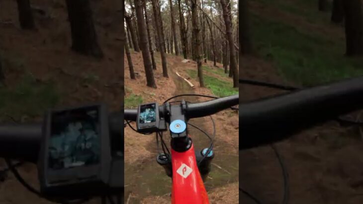 Zeds Dead: Jump trail in private MTB park in NZ