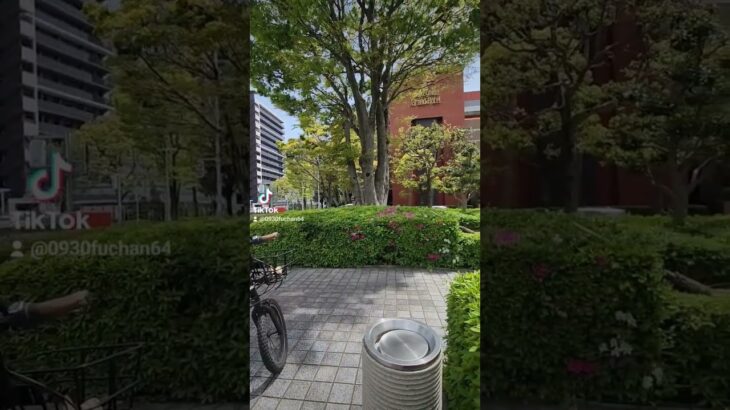 掛川市サイクリング🚲️掛川駅いっぷく💨