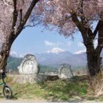 桜満開な安曇野エリアをミニベロでサイクリング　常念道祖神・あづみ野やまびこ自転車道などの桜を見に行ってきました