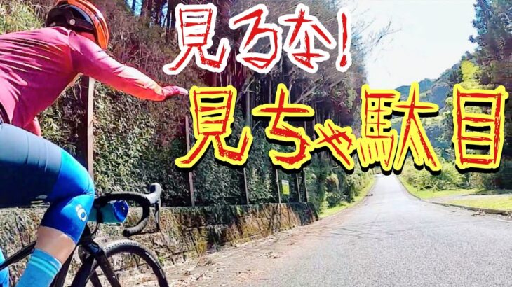 ロードバイク ヒルクライム究極奥義　プロ直伝