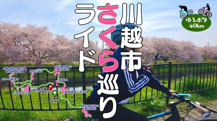 【川越】桜の名所を巡るお花見サイクリング。クロスバイクでペアライド！【計8ヶ所】