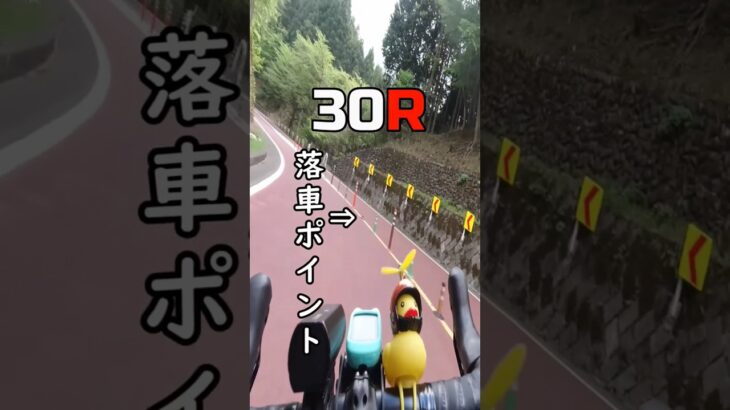 ダウンヒルで落車する奴がロードバイク初心者な理由🔰チャリカスDQN交通事故・撲滅/自転車あるある ちゅ、多様性 / ano