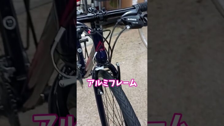 FUJI RAIZ フジ ライズ 人気のクロスバイク。【カンザキ/エバチャンネル】