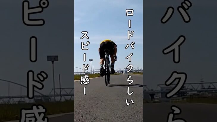 ロードバイクらしいスピード感🚴Lintaman × Bianchi Ｏltre XR3