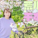 【ミニベロ輪行】荒川に桜咲く冬眠明けサイクリング！ORI!ORI!ORIBIKE